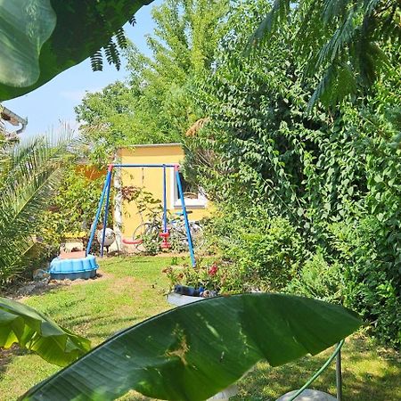 Paradise-Garden-Zamárdi Exteriér fotografie