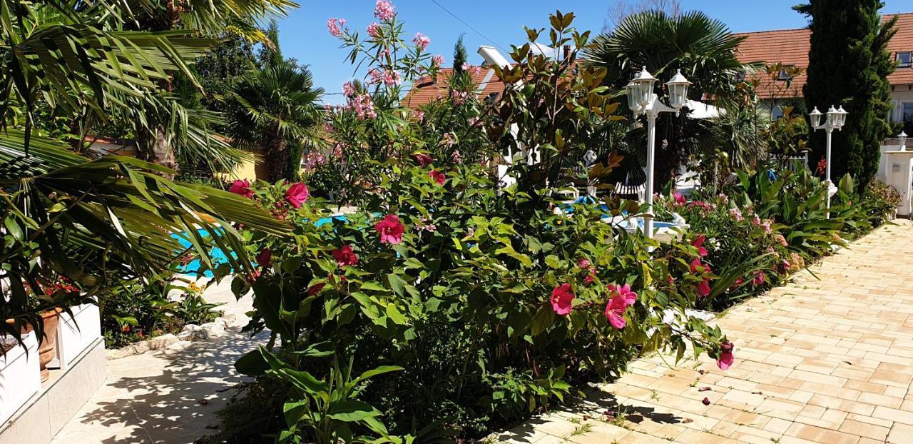 Paradise-Garden-Zamárdi Exteriér fotografie