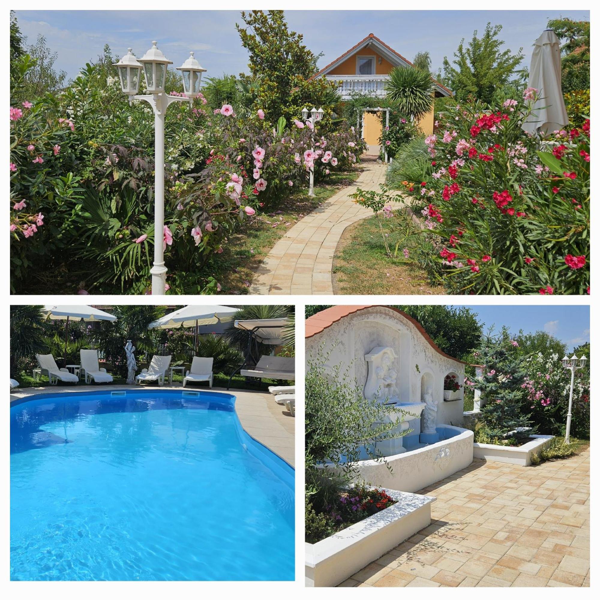 Paradise-Garden-Zamárdi Pokoj fotografie